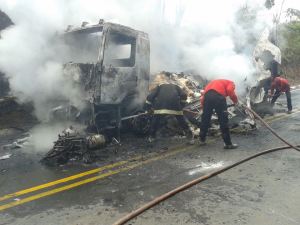 Bombeiros foram acionados no combate às chamas (Foto: Jornal Regional)