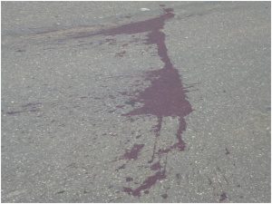 Asfalto ficou marcado de sangue no local onde houve o acidente