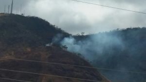 Incêndio consumiu uma área de quatro hectares (foto enviada pelo WhatsApp) 