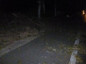 Ciclista tentava se desviar uma árvore, que estava caída na pista, quando foi atropelado