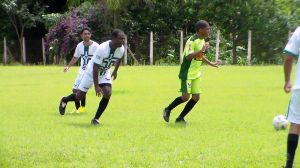 foto coluna abrindo o jogo