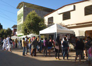 o-povo-perece-copia17