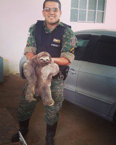 Edil com o bicho preguiça