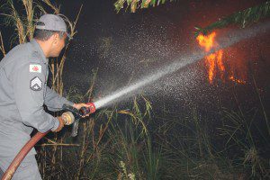 Causas do incêndio ainda são desconhecidas