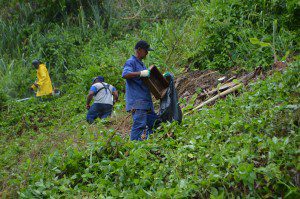 Retirada de lixo de terrenos baldios